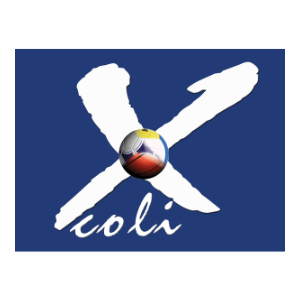 Sede Norte - xcoli logo